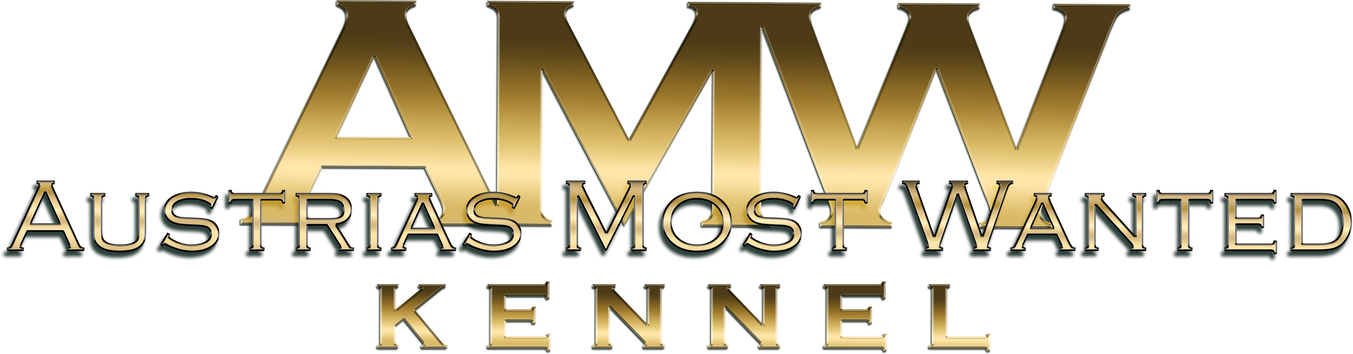 AMW Schriftzug fertig ohne hintergrund