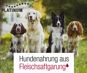 Banner ausstellung hund 1
