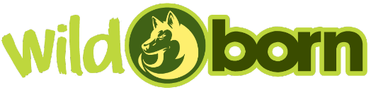 logo start